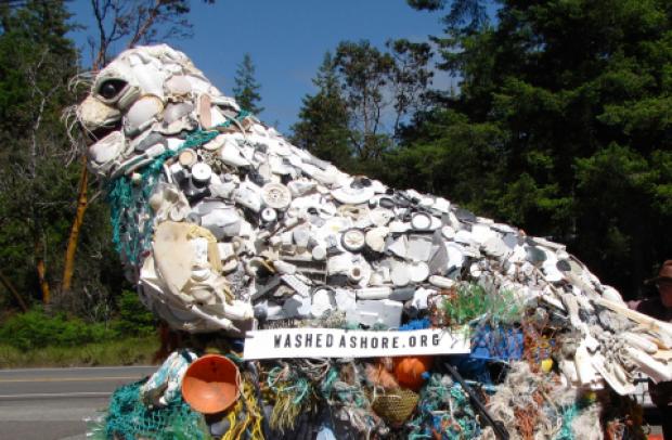 Washed Ashore Project
