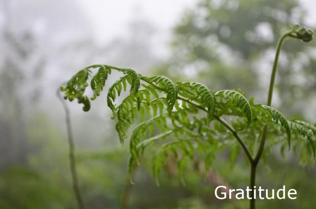 It Is Now That My Life Is Mine