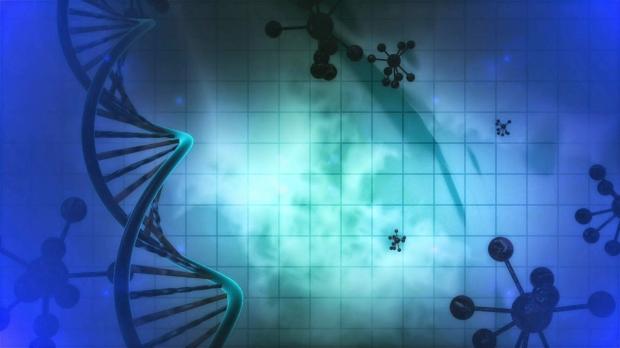 the dna journey karmatube