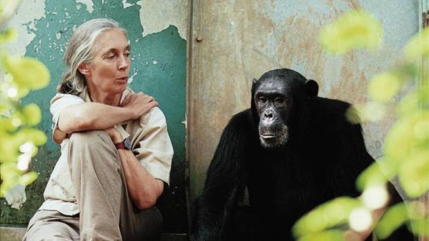 Jane Goodall - Sowing the Seeds of Hope