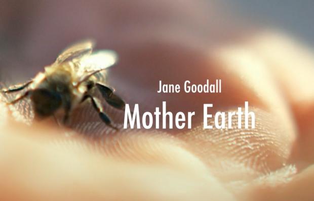 Mother Earth -- Jane Goodall