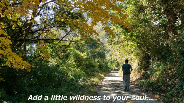 Wild Soul - A Nature Poem