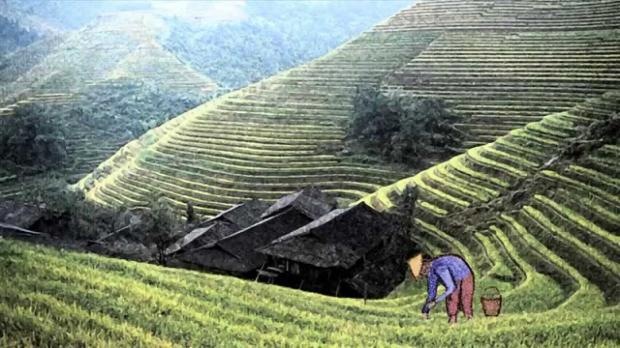 The Story of the Chinese Farmer | KarmaTube